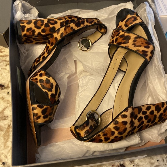 STUNNING Ann Taylor Leopard Block Heels - Sz 7.5. Sexy yet professional & comfie - Picture 2 of 7